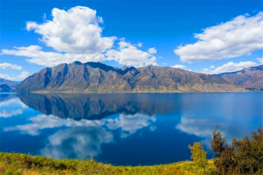 全球最美的国家新西兰地广人稀房产多，为何当地人却说无房可住？
