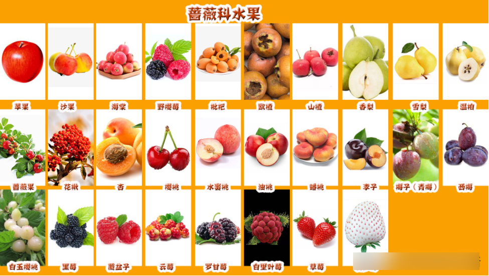 水果种类大全名字图片