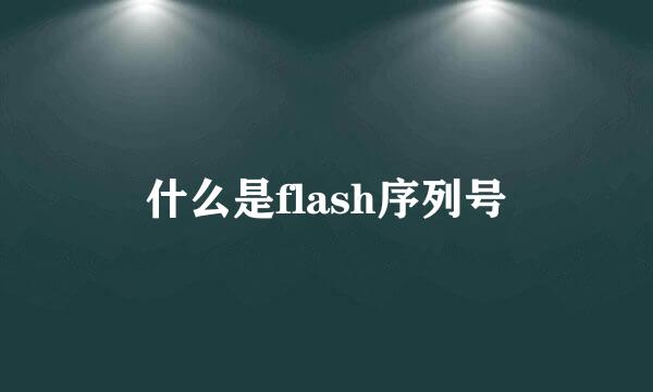 什么是flash序列号