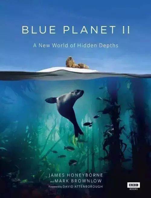 《蓝色星球2(2017)》百度云来自无删减完整版在线观看，詹姆斯·霍尼伯内导演的