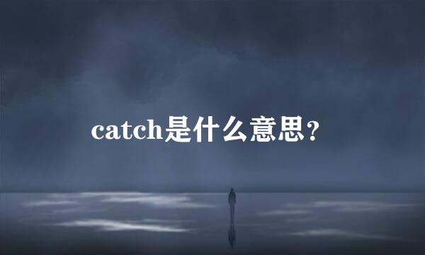 catch是什么意思？