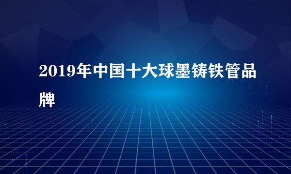 2019年中国十大球墨铸铁管品牌