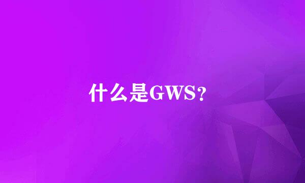 什么是GWS？