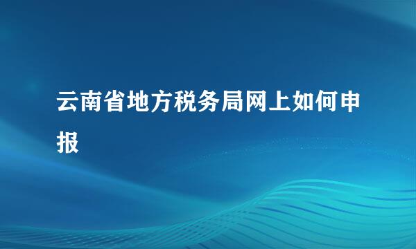 云南省地方税务局网上如何申报