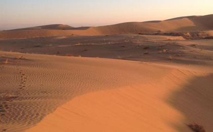 沙中土命是什么意思