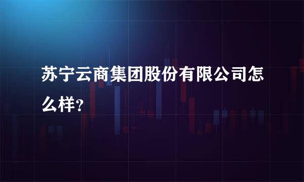 苏宁云商集团股份有限公司怎么样？