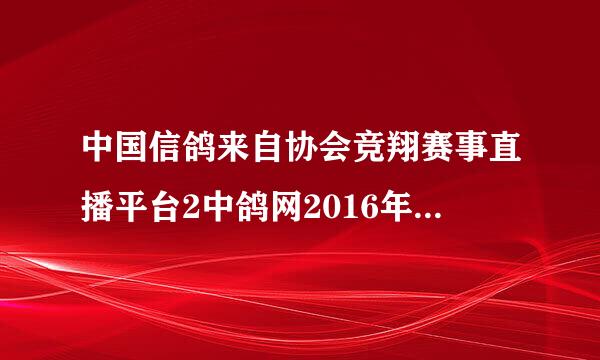 中国信鸽来自协会竞翔赛事直播平台2中鸽网2016年10月2号