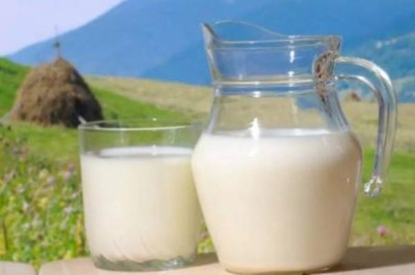全脂牛奶和脱脂牛奶的区别在哪里？