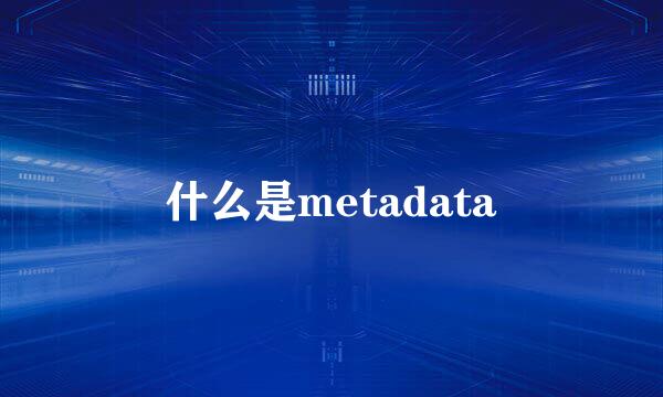 什么是metadata