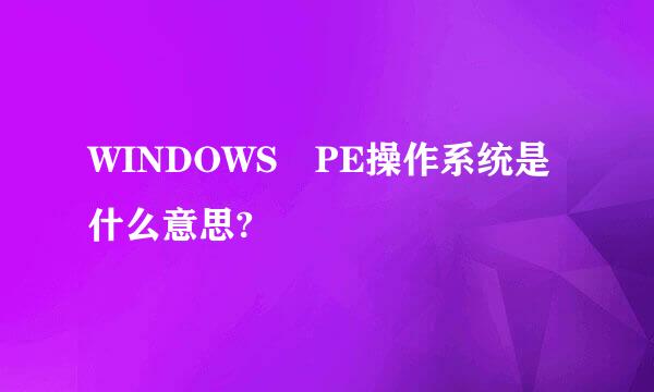 WINDOWS PE操作系统是什么意思?