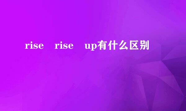 rise rise up有什么区别