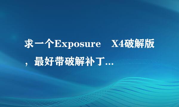 求一个Exposure X4破解版，最好带破解补丁激活教程，谢谢！