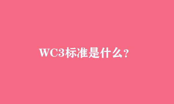 WC3标准是什么？
