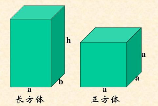 正方体长方体的体积公式和表面积公式分别是什么？