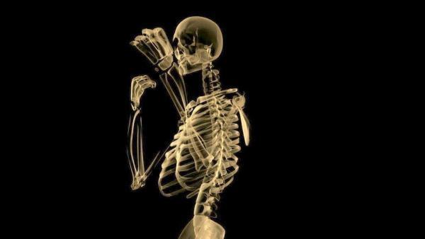 人体来自骨架图是怎样的？【资料和图片】