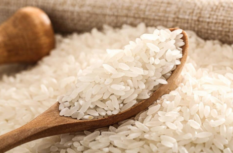大米的主要营养成分？