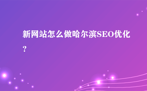 新网站怎么做哈尔滨SEO优化？